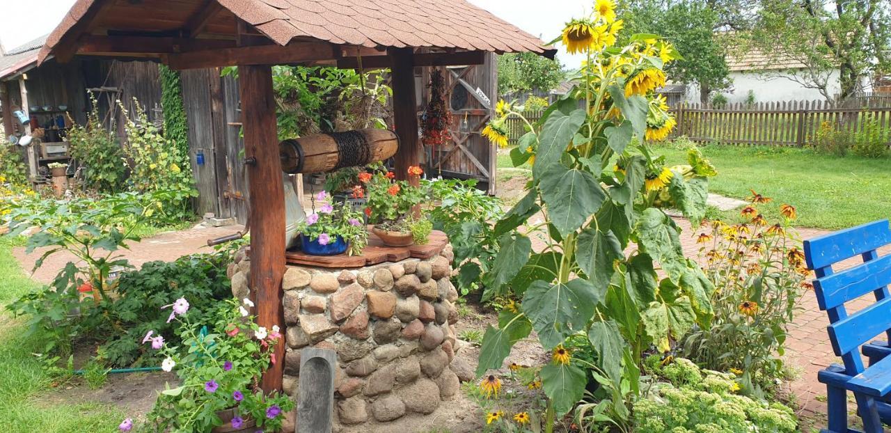 "Jutrzenka" Apartamento Białowieża Exterior foto