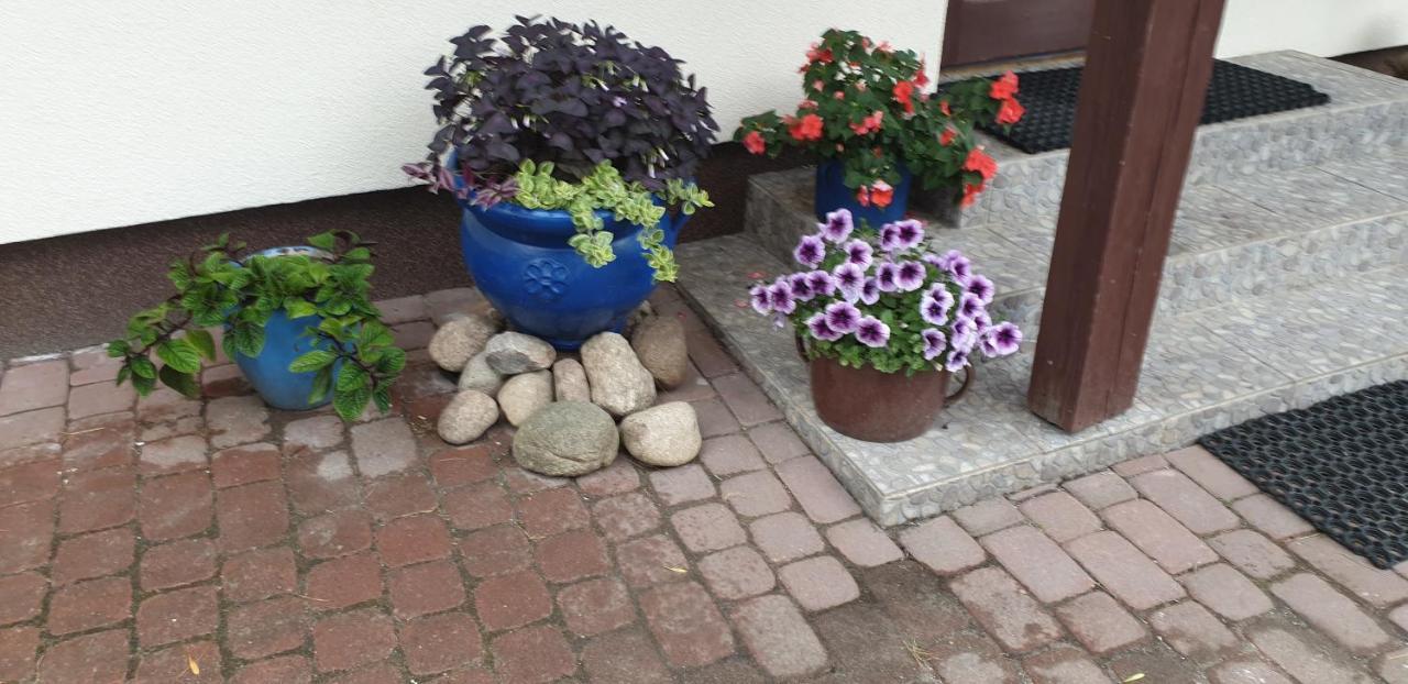 "Jutrzenka" Apartamento Białowieża Exterior foto