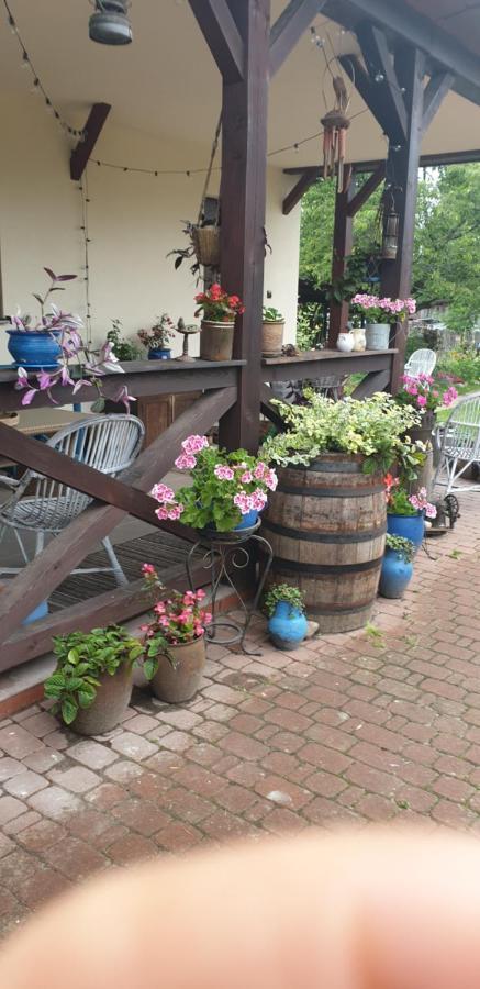 "Jutrzenka" Apartamento Białowieża Exterior foto