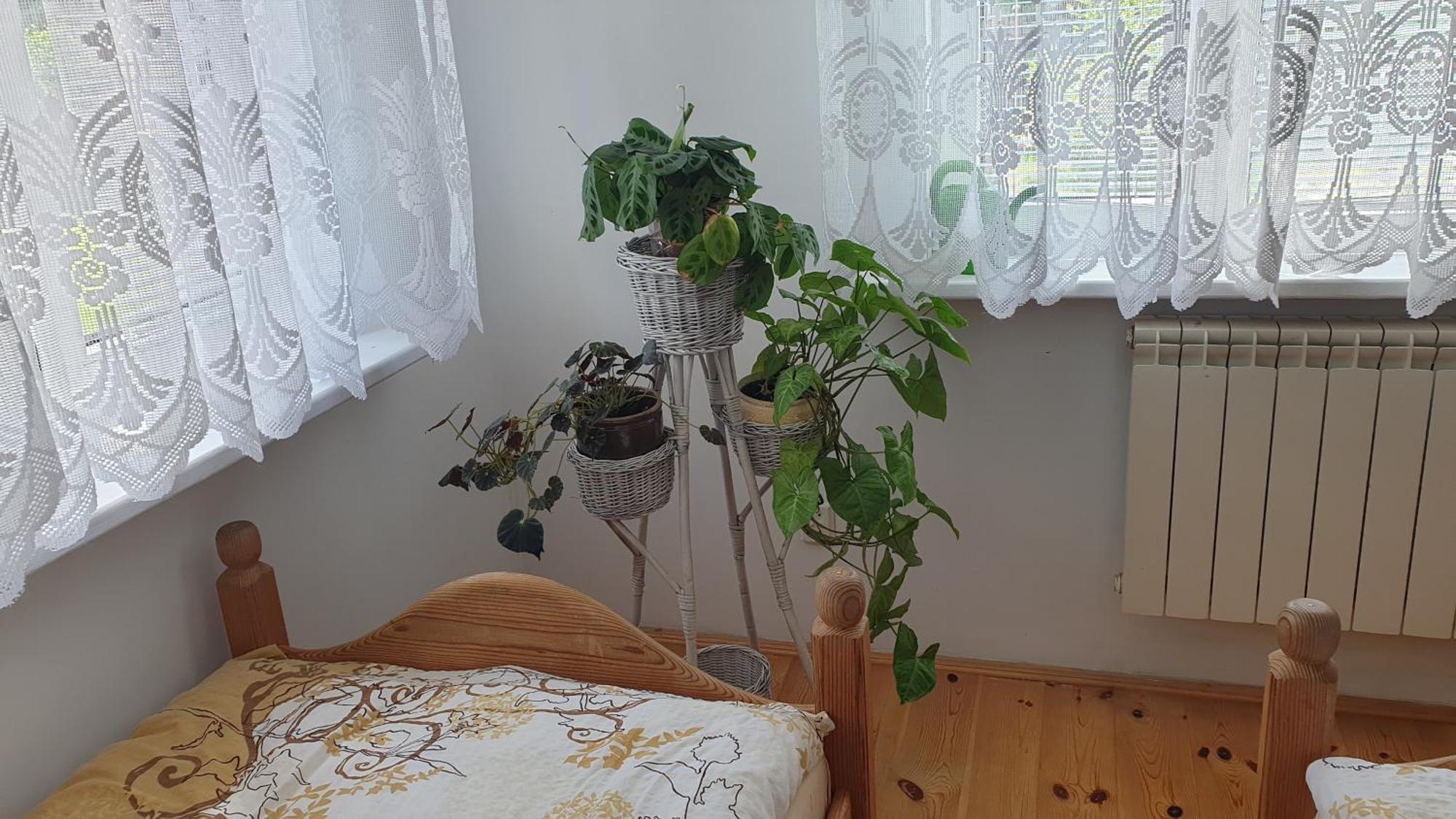 "Jutrzenka" Apartamento Białowieża Exterior foto